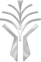 Silver Palm